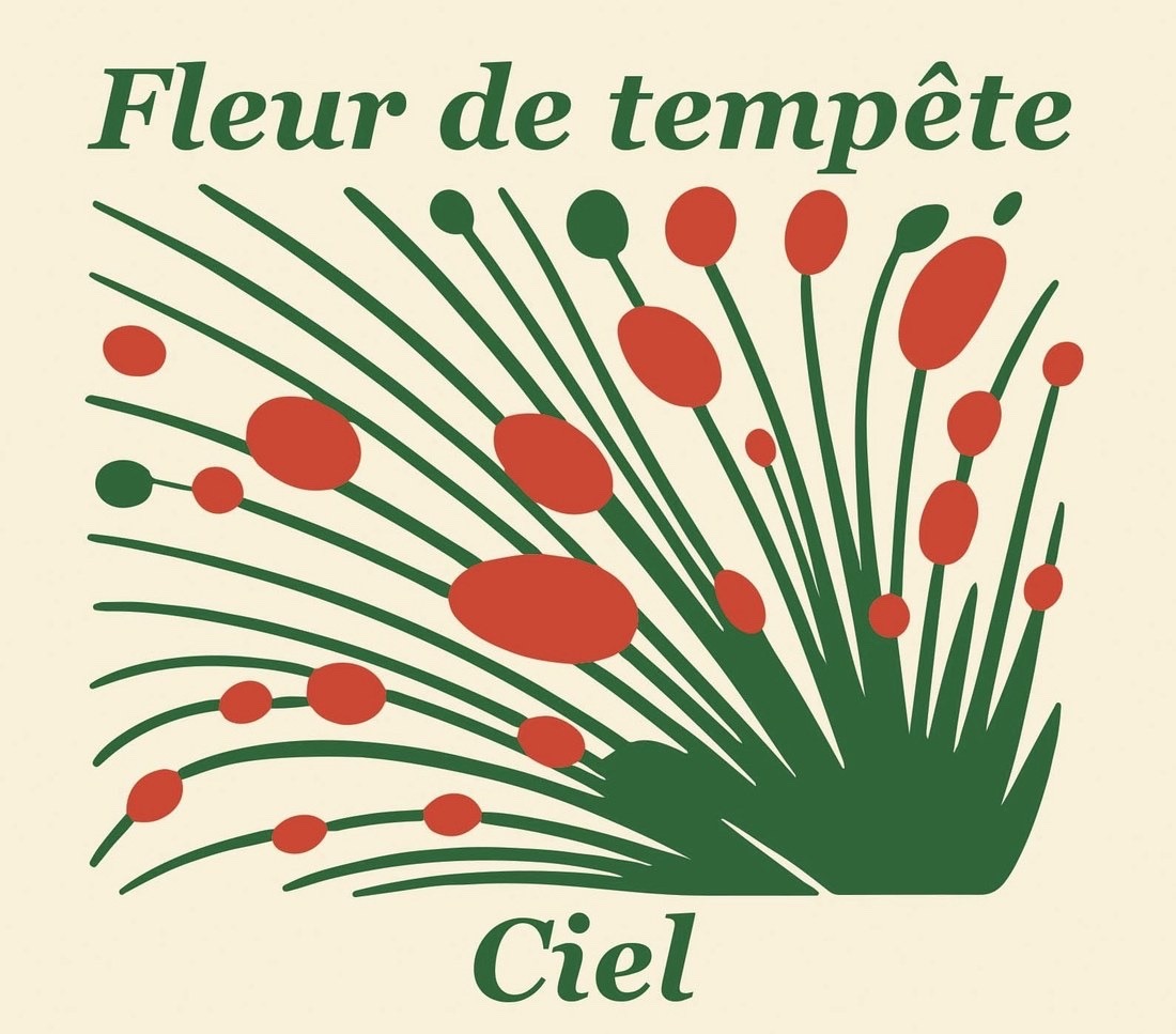 Pochette de l'album Ciel